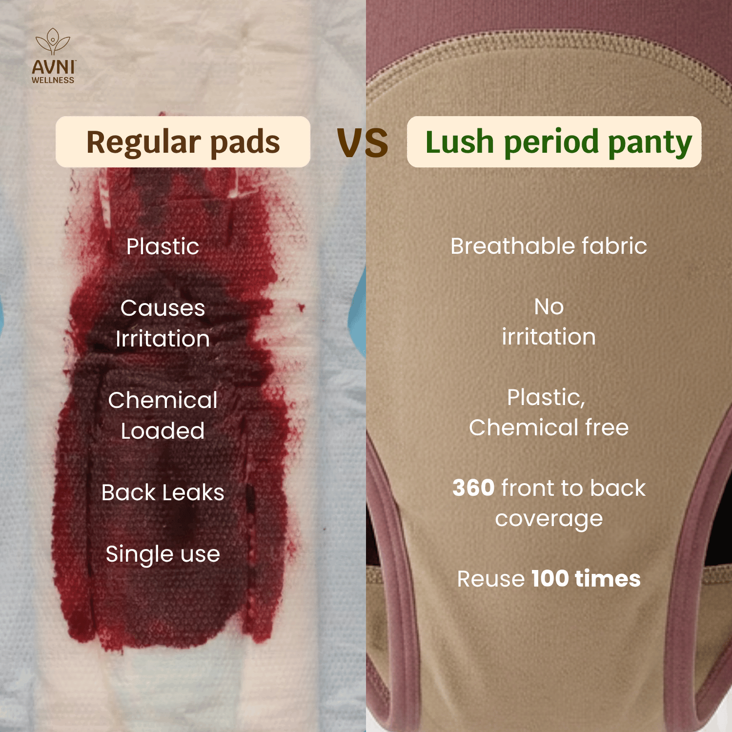 Lush Reusable Period Panty with Stain Remover (200ml)