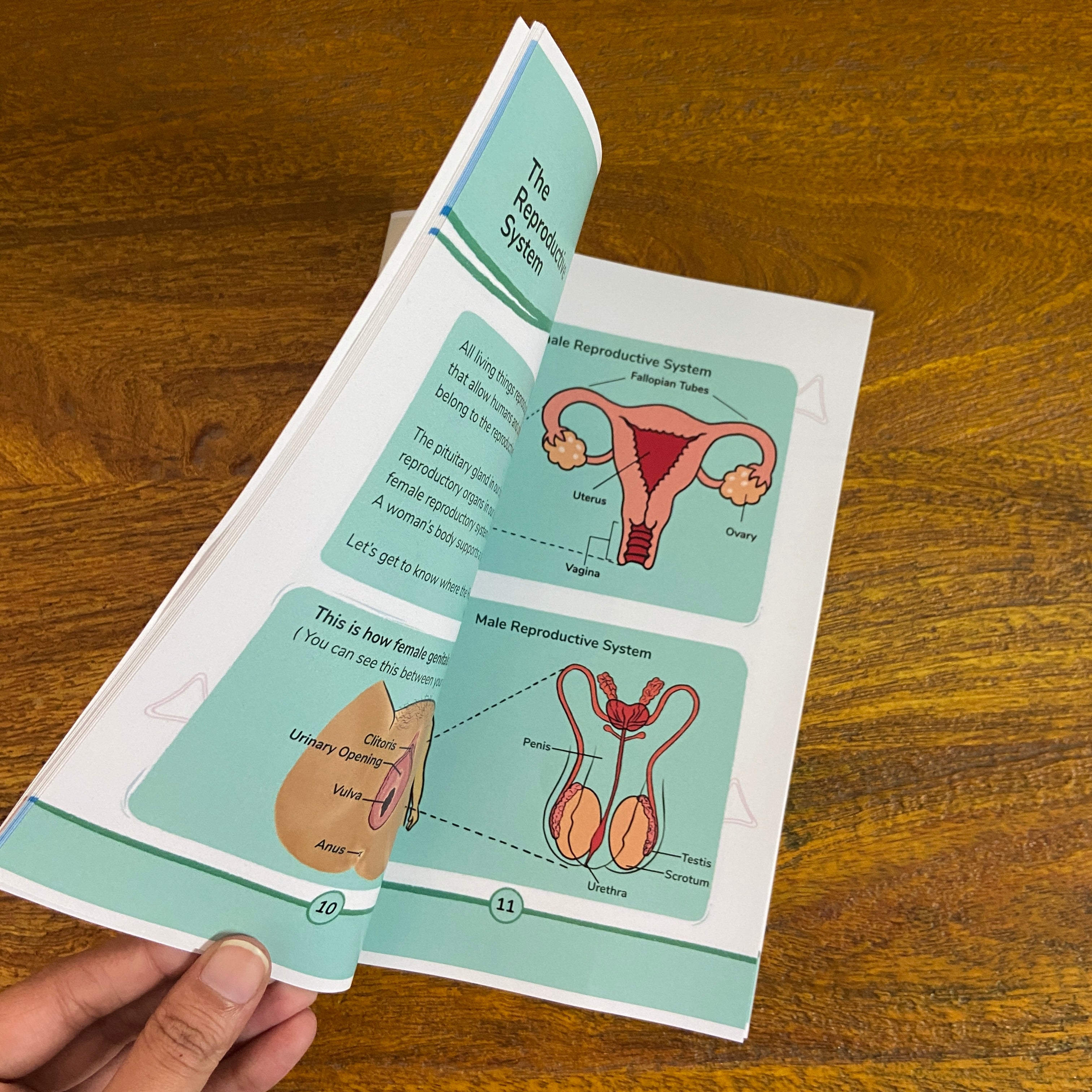 Period Book - RUTU from Avni Wellness - 2